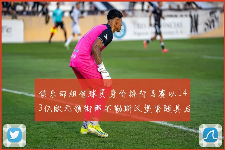 俱乐部租借球员身价排行马赛以143亿欧元领衔那不勒斯汉堡紧随其后